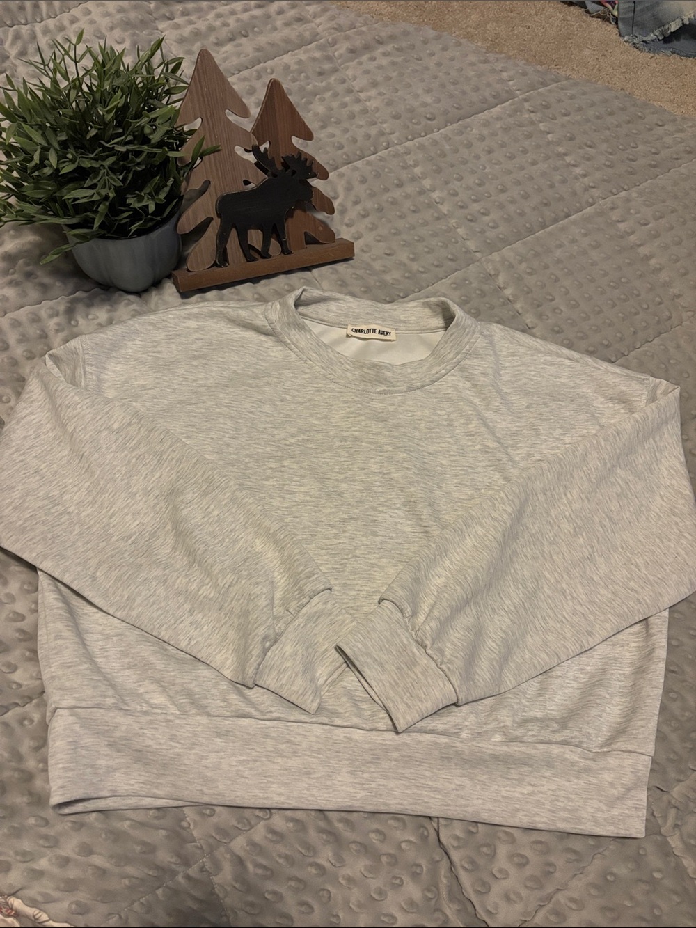 2-$30 or 1-$20 Charlotte Avery Cropped Ash Gray Crewneck